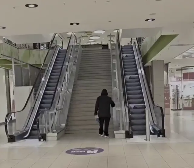 Commercial escalators beside a staircase